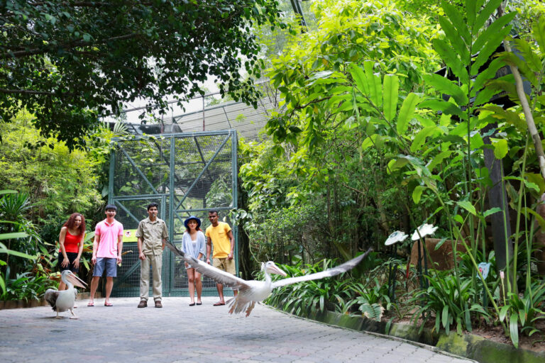 Wildlife-Park-scaled.jpg